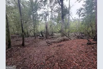 0 Jamestown Road, Waycross, GA 31053 - Photo 33