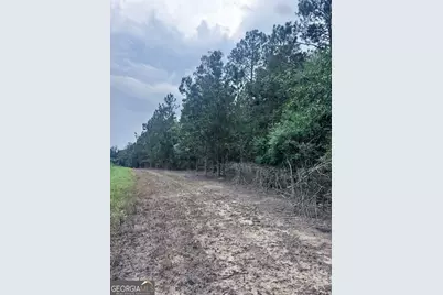 00 Cleon Shuman Road, Collins, GA 30421 - Photo 3