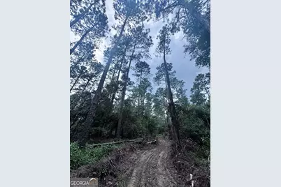 00 Cleon Shuman Road, Collins, GA 30421 - Photo 1