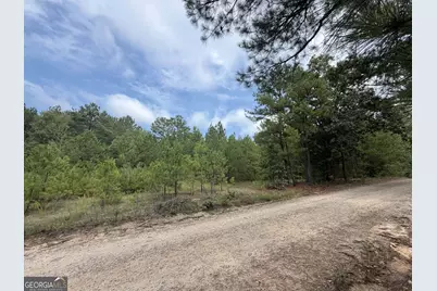 0 Smith Mill Road, Monticello, GA 31064 - Photo 7