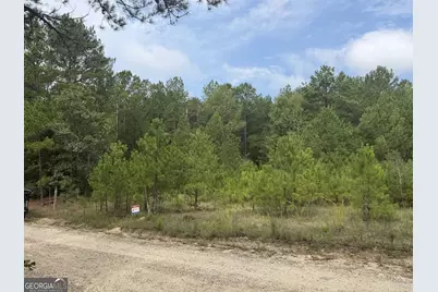 0 Smith Mill Road, Monticello, GA 31064 - Photo 3