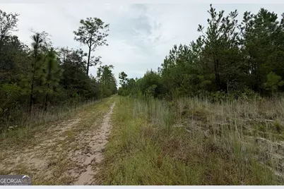 0 South River Road, Waycross, GA 31503 - Photo 23