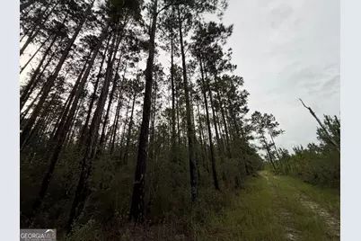 0 South River Road, Waycross, GA 31503 - Photo 27