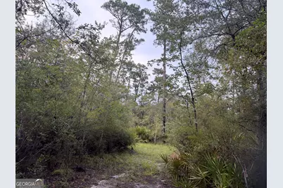 0 South River Road, Waycross, GA 31503 - Photo 41
