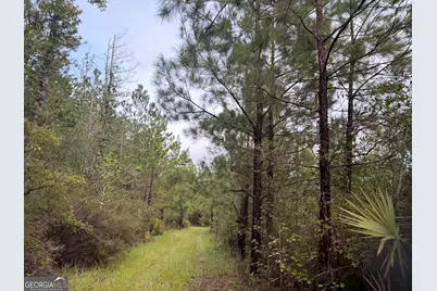 0 South River Road, Waycross, GA 31503 - Photo 39