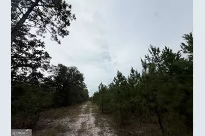 0 South River Road, Waycross, GA 31503 - Photo 29