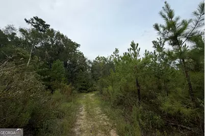 0 South River Road, Waycross, GA 31503 - Photo 35