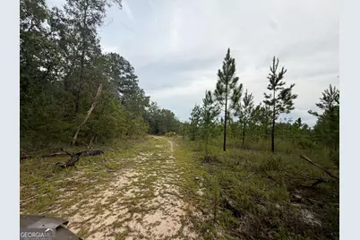 0 South River Road, Waycross, GA 31503 - Photo 45