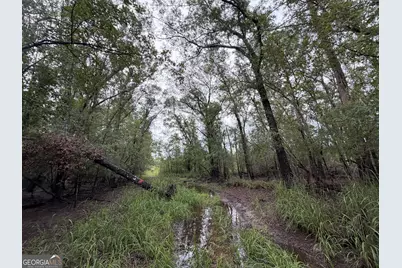 0 South River Road, Waycross, GA 31503 - Photo 19