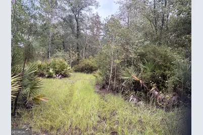 0 South River Road, Waycross, GA 31503 - Photo 43
