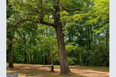 970 Nelms Road, Franklin, GA 30217 - Photo 33