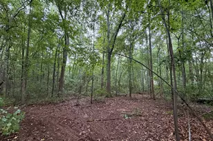 0 Caney Head Rd, Roopville, GA 30170 - Photo 1
