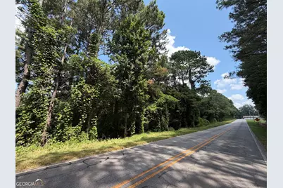 0 Caney Head Road, Roopville, GA 30170 - Photo 3