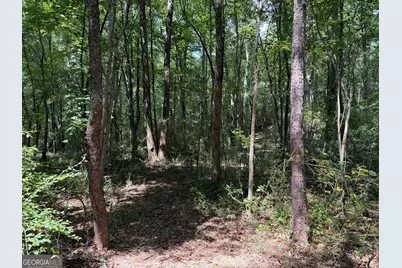 0 Caney Head Road, Roopville, GA 30170 - Photo 9