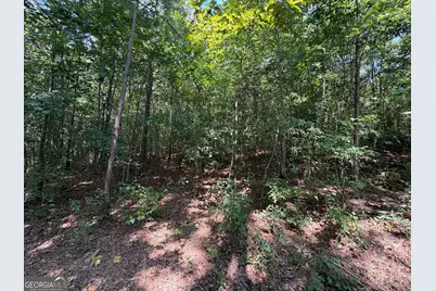 0 Caney Head Road, Roopville, GA 30170 - Photo 7