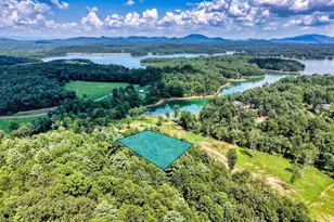 238 Virginia Ln, Blairsville, GA 30512 - Photo 39