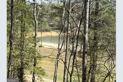 238 Virginia Lane, Blairsville, GA 30512 - Photo 35