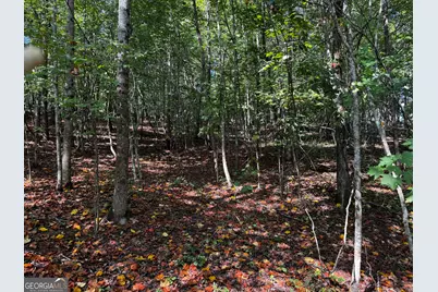 0 Rainbow Circle, Cleveland, GA 30528 - Photo 17