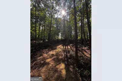 0 Rainbow Circle, Cleveland, GA 30528 - Photo 9