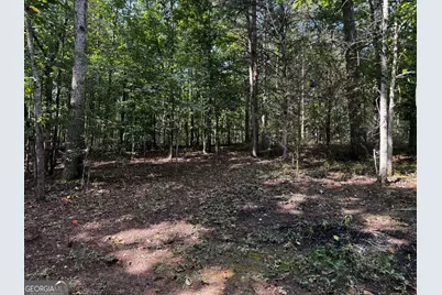 0 Rainbow Circle, Cleveland, GA 30528 - Photo 19
