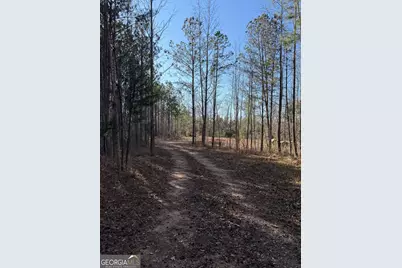 641 Dennis Station Road, Eatonton, GA 31024 - Photo 11