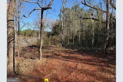 641 Dennis Station Road, Eatonton, GA 31024 - Photo 5