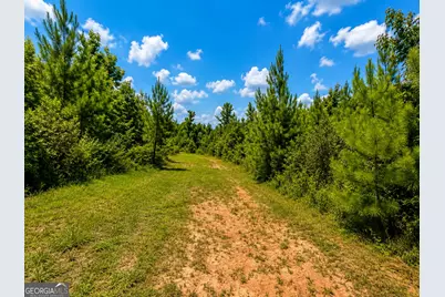 21 Acres Cochran Road, Madison, GA 30650 - Photo 5
