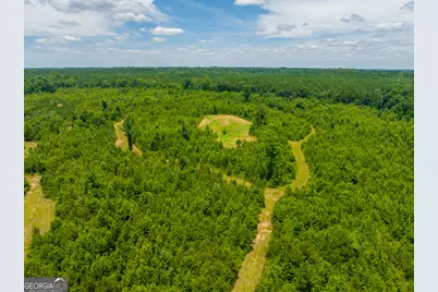 21 Acres Cochran Road, Madison, GA 30650 - Photo 19