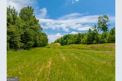21 Acres Cochran Road, Madison, GA 30650 - Photo 7