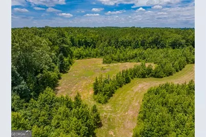21 Acres Cochran Road, Madison, GA 30650 - Photo 3
