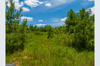 21 Acres Cochran Road, Madison, GA 30650 - Photo 9