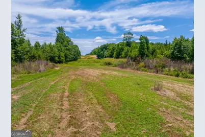 21 Acres Cochran Road, Madison, GA 30650 - Photo 13