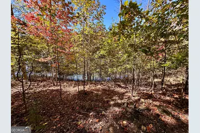 29 Forked Leaf Road, Cleveland, GA 30528 - Photo 7