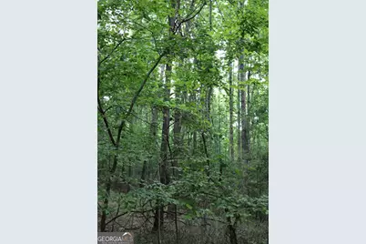1135 Mount Moriah Road, Auburn, GA 30011 - Photo 3