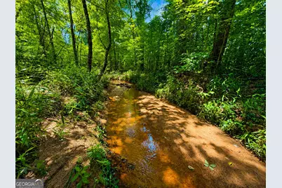 29 Acres Cochran Road, Madison, GA 30650 - Photo 1