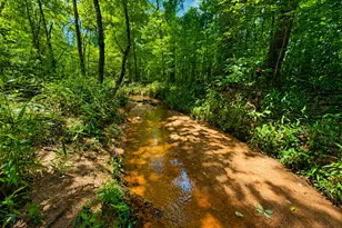 29 Acres Cochran Rd, Madison, GA 30650 - Photo 1