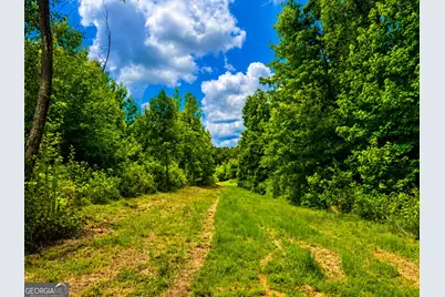 29 Acres Cochran Road, Madison, GA 30650 - Photo 13