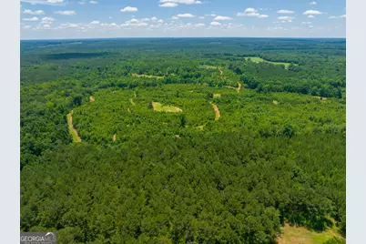 29 Acres Cochran Road, Madison, GA 30650 - Photo 21