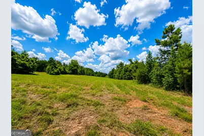 29 Acres Cochran Road, Madison, GA 30650 - Photo 13