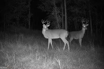 29 Acres Cochran Road, Madison, GA 30650 - Photo 23