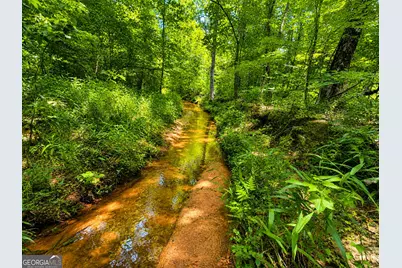 29 Acres Cochran Road, Madison, GA 30650 - Photo 5
