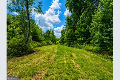 29 Acres Cochran Road, Madison, GA 30650 - Photo 9