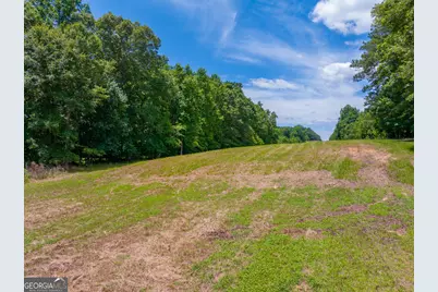 29 Acres Cochran Road, Madison, GA 30650 - Photo 7
