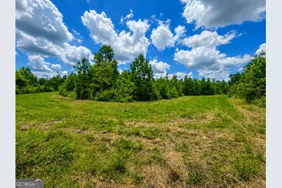 29 Acres Cochran Road, Madison, GA 30650 - Photo 11