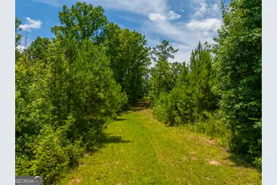 29 Acres Cochran Road, Madison, GA 30650 - Photo 5