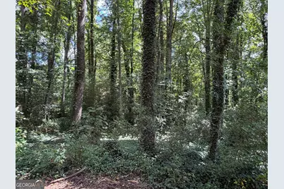 131 Meadow Ridge Drive, Stockbridge, GA 30281 - Photo 17