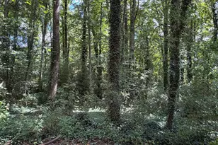 131 Meadow Ridge Dr, Stockbridge, GA 30281 - Photo 17