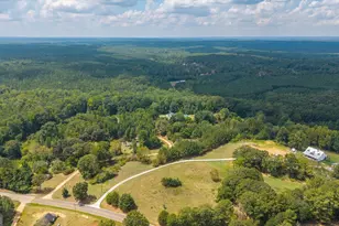 3715 Ga Hwy 219, Franklin, GA 30217 - Photo 59