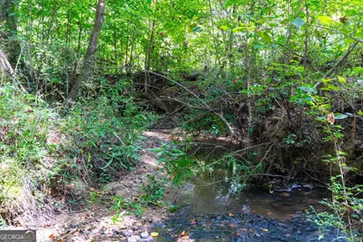 3715 Ga Highway 219, Franklin, GA 30217 - Photo 51