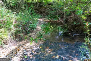 3715 Ga Hwy 219, Franklin, GA 30217 - Photo 49